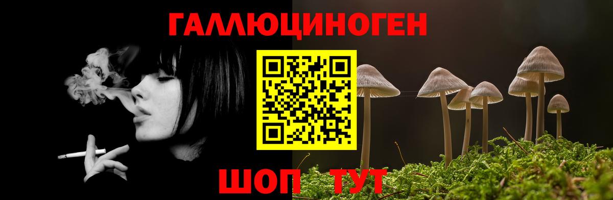 магазин  наркотиков  Вход с VPN  Нефтеюганск  Галлюциногенные грибы Psilocybine cubensis  Галлюциногенные грибы Magic Shrooms 